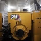 Cat Generator mobile